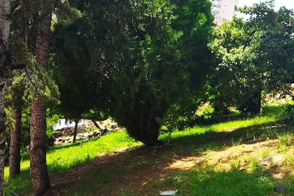Milli Boksör Kemal Sonudur Parkı - Resim 12