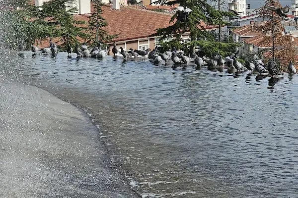 Milli Boksör Kemal Sonudur Parkı - Resim 15