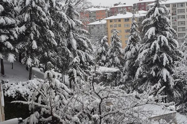 Milli Boksör Kemal Sonudur Parkı - Resim 7