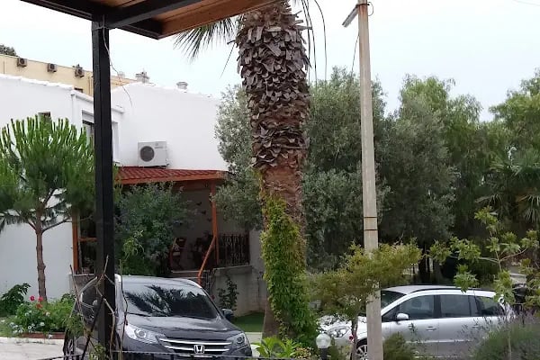 Teras Motel - Resim 14
