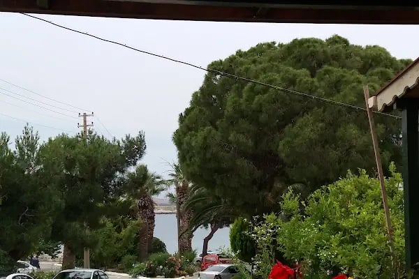 Teras Motel - Resim 13