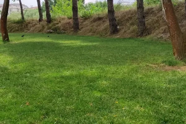 Saklıbahçe Dinlenme Parkı - Resim 4