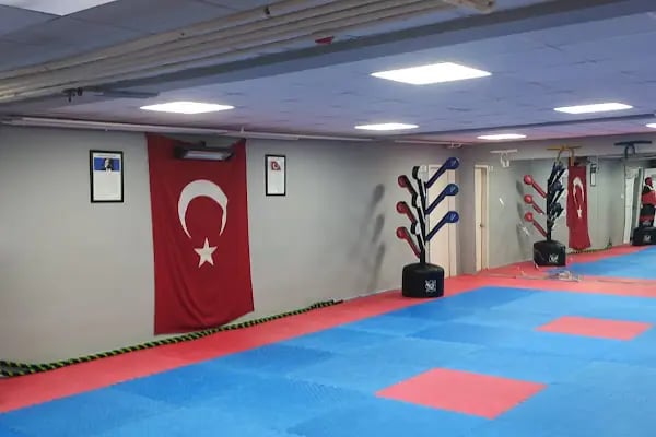 Altıntaş Spor Kulübü - Resim 15