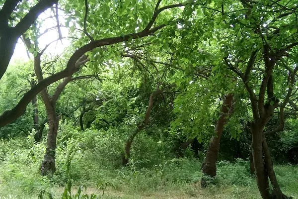 Gebze Yüksek Teknoloji Ensitüsü Kültür Merkez - Resim 5