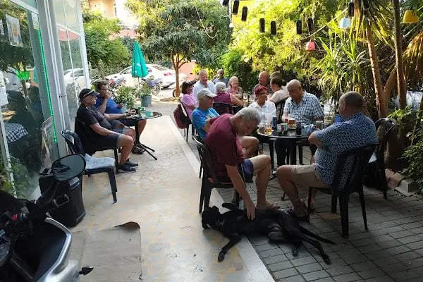 The Green Oasis Café Bistro - Resim 6