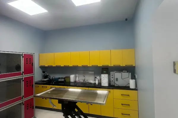 Güneşli Arkadaş Veteriner Kliniği - Resim 4