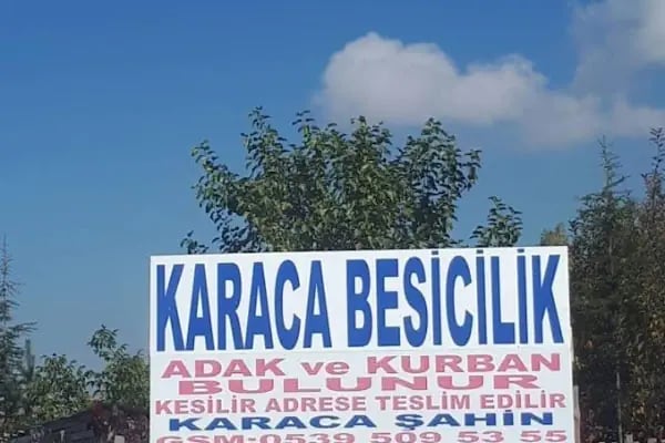 ANKARA Karaca besicilik adak kurban bulunur - Resim 2