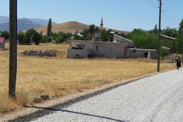 Alimpınar Cami - Resim 8