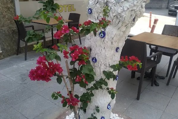 PUNTA VİSTA HOTEL - Resim 19