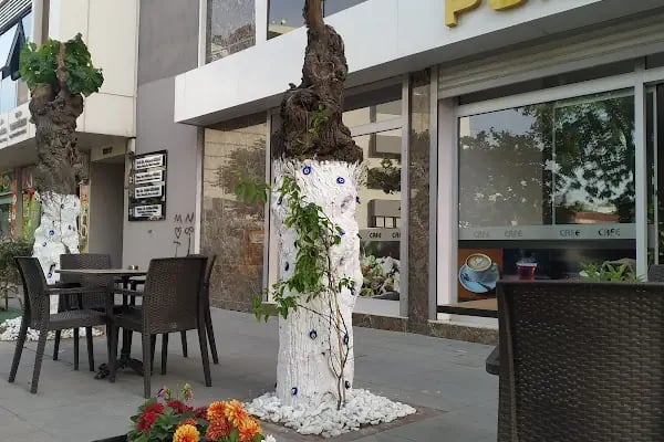 PUNTA VİSTA HOTEL - Resim 15