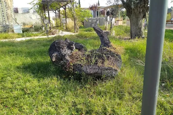 AKSU BELEDİYESİ PAVİLYONU - Resim 7