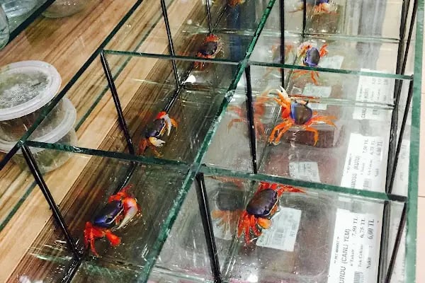 Pet Market - Resim 2