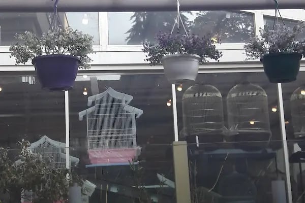 Pet Market - Resim 8