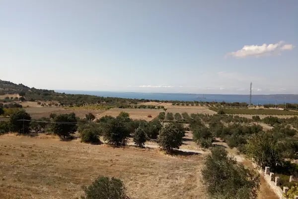 Kelemençe Market Cengiz TOPEL Şubesi - Resim 2