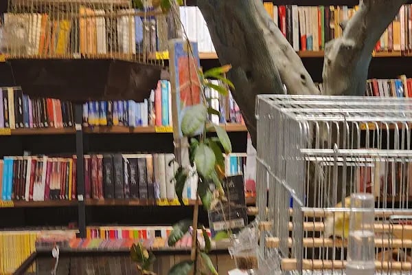 Pozitif Kitap Kırtasiye Dijital Baskı Merkezi - Resim 19