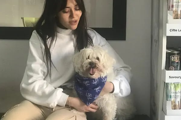 Adana Empati Veteriner Kliniği - Resim 13