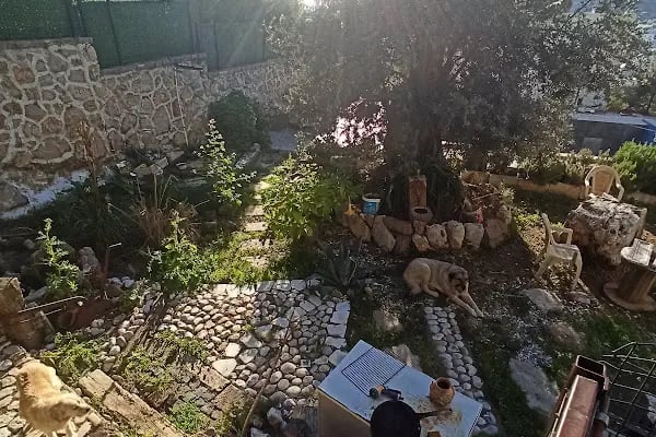 Megera Evleri - Resim 20