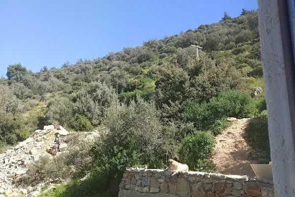 Megera Evleri - Resim 10
