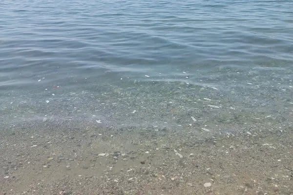 Balıkesir Büyükşehir Belediyesi - Resim 14