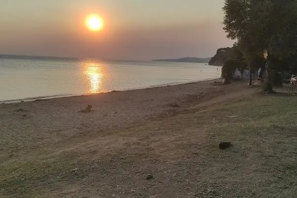 Büyük Küçübük Kamp ve Piknik Alanı - Resim 15