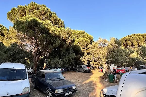 Büyük Küçübük Kamp ve Piknik Alanı - Resim 9