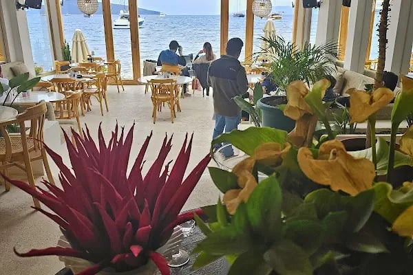 Lizaz BODRUM - Resim 17