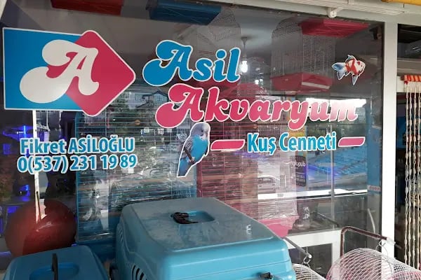 Asil Akvaryum - Resim 1