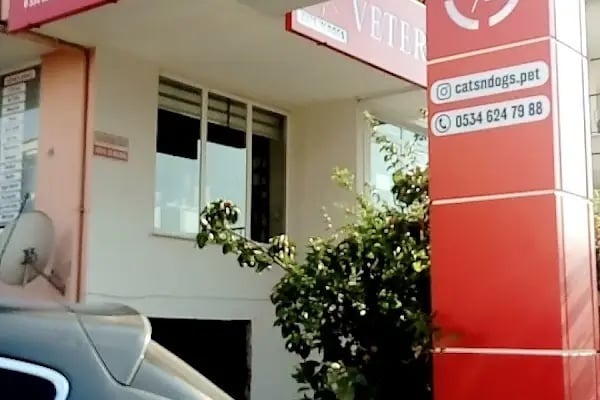 CATS n DOGS VETERİNER KLİNİĞİ - Resim 16