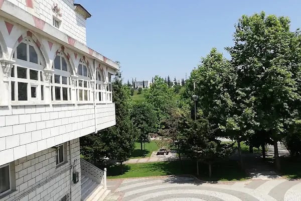 Ulubatlı Hasan Camii - Resim 15