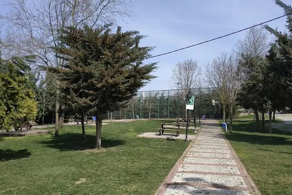 Ulubatlı Hasan Camii - Resim 4