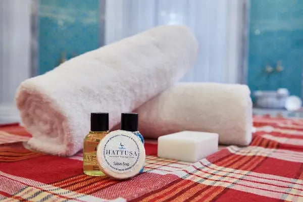 Hattuşa Vacation Thermal Club Saray - Resim 17