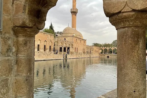 Şeyma Yıldız Fotoğraf İşleri - Resim 5