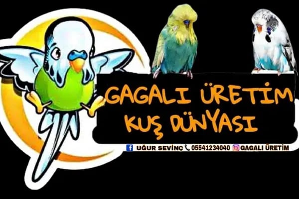 Mega Akvaryum &amp; Pet Shop - Resim 7