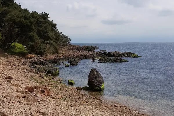 Tillo & Güney CATERİNG - Resim 16