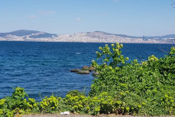 Tillo & Güney CATERİNG - Resim 5