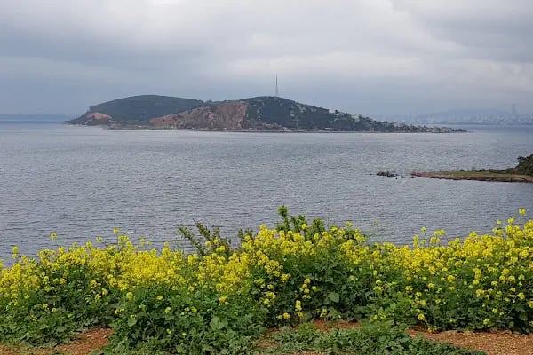 Tillo & Güney CATERİNG - Resim 8