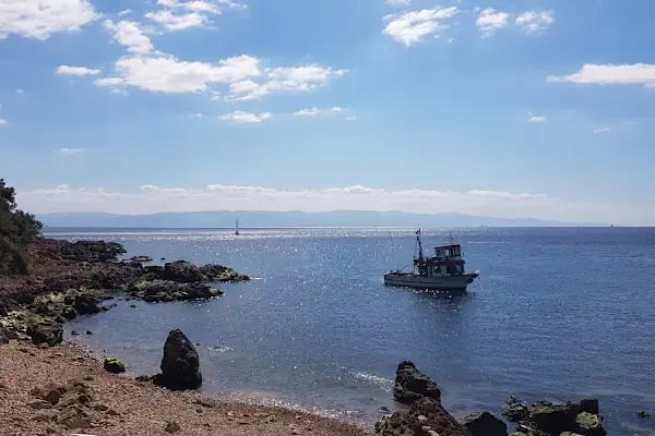 Tillo & Güney CATERİNG - Resim 6