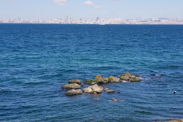 Tillo & Güney CATERİNG - Resim 17
