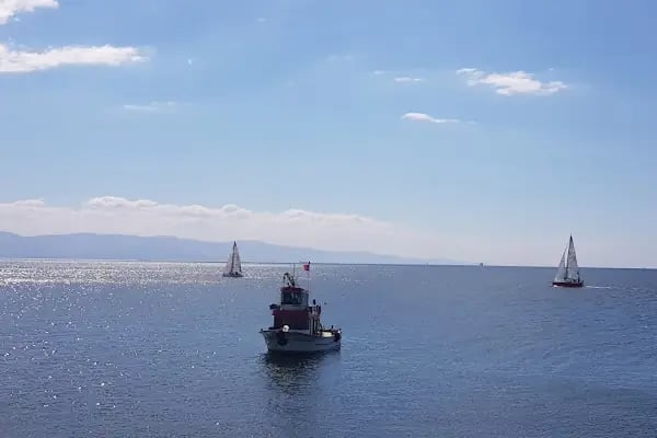 Tillo & Güney CATERİNG - Resim 14