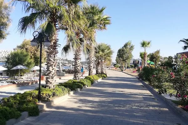 Avta Tatil Köyü - Resim 4