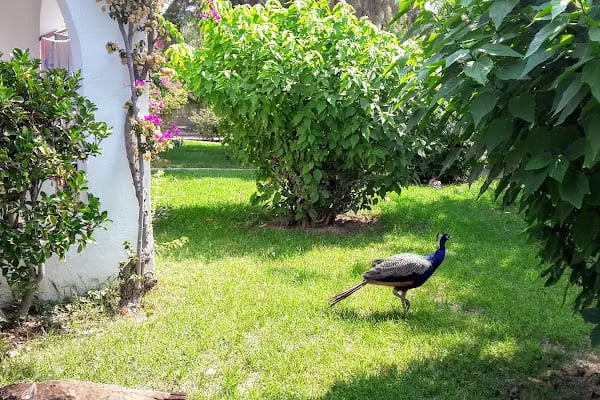 Avta Tatil Köyü - Resim 7
