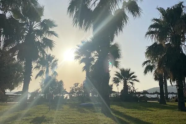 Avta Tatil Köyü - Resim 11