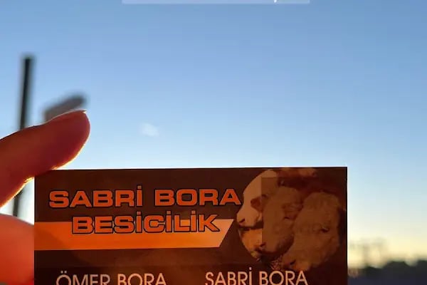 Sabri BORA Besicilik - Resim 13