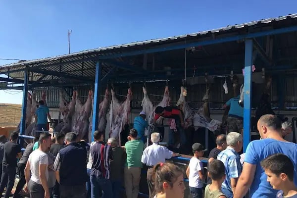 Sabri BORA Besicilik - Resim 7