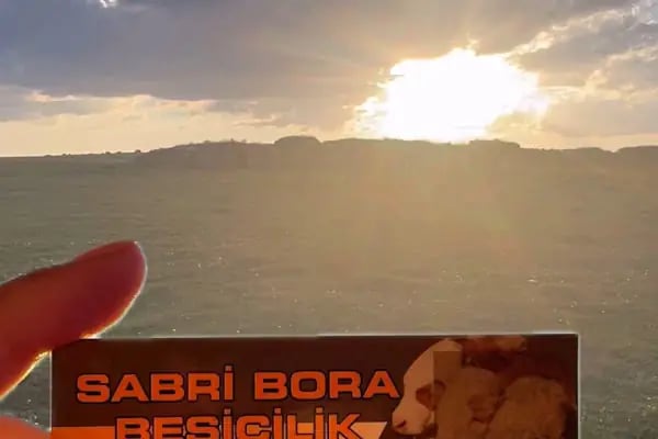 Sabri BORA Besicilik - Resim 3