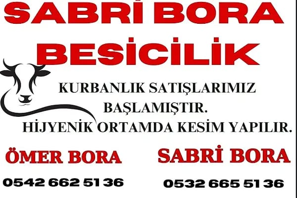 Sabri BORA Besicilik - Resim 19