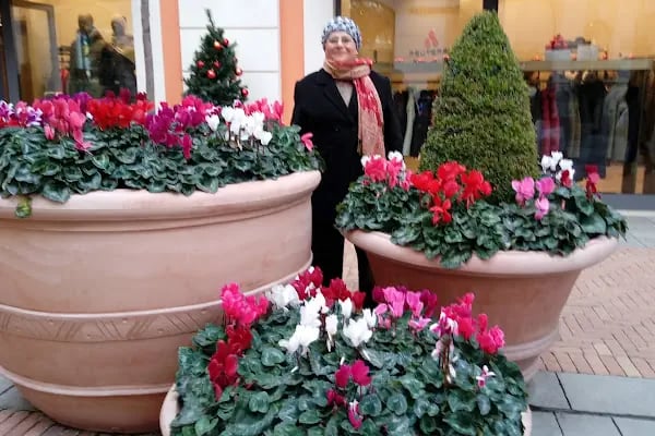 zeytin cafe - Resim 7