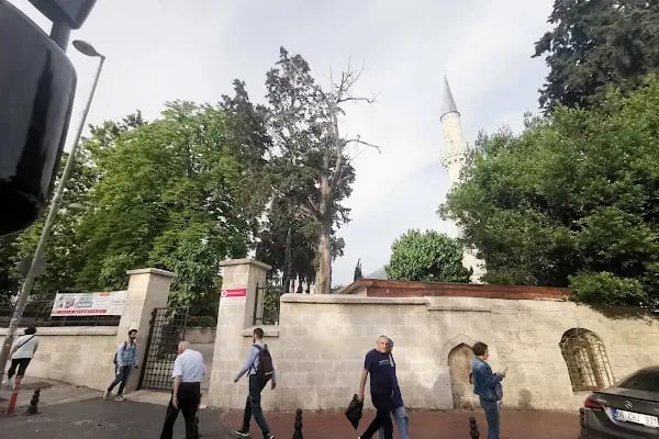 Ramazan el mafi türbesi - Resim 11