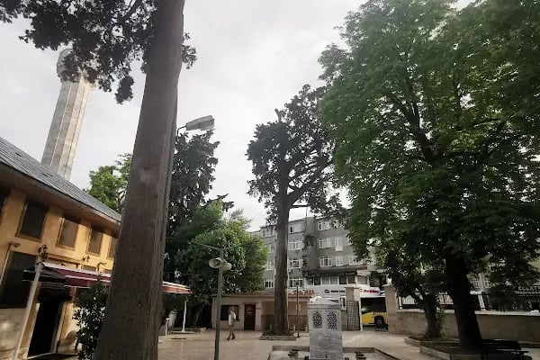 Ramazan el mafi türbesi - Resim 10