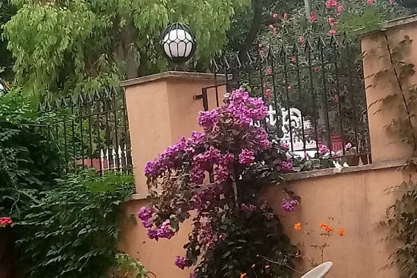 Büyükada Görkemli Hotel&amp;Cafe - Resim 8